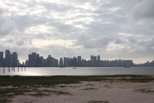 城市天际线与水边景致