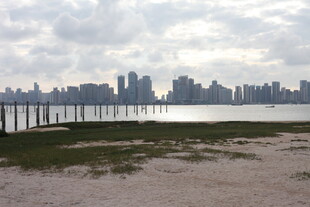 城市天际线与水边滩涂景观