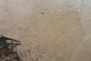 沙滩上的自然纹理景象