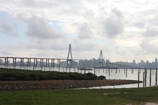 城市桥梁边的开阔风景