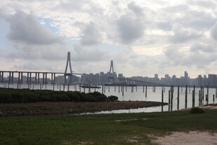 城市江边大桥风景图