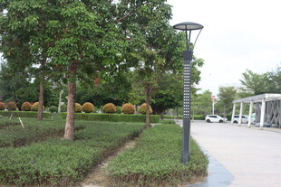 城市园林景观中的路灯设施