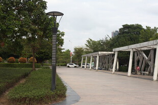 公园林荫步道景观