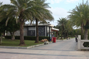 棕榈树环绕的雅致建筑