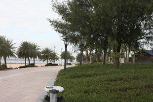 湖畔林荫道风景