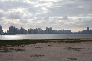 城市天际线与开阔水域景观