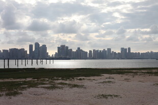 城市天际线与水边景致