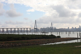 城市远景中的桥梁与天际线