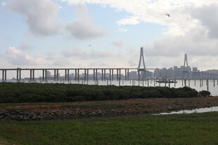 壮观跨海大桥远景