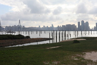 城市滨水风光远眺