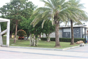 户外休闲庭院景观