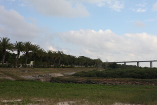 田野风光中的桥梁远景