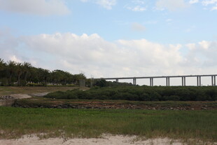 田野上的高架桥