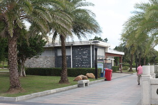 公园内的休闲景致