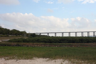 田野上的高架桥梁景观