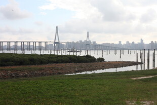 河畔大桥远景风光