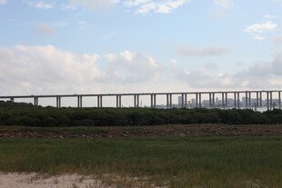 田野上的高架桥