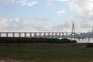 跨海大桥远景风光