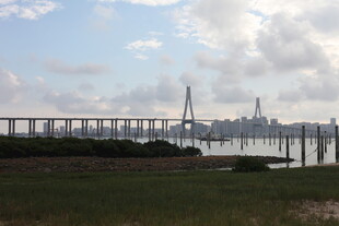 壮观跨海大桥远景