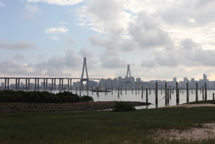 江边大桥远景风光