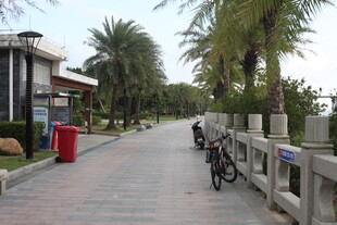 海滨休闲小道惬意骑行处