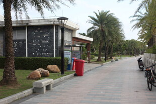 小区内的宁静林荫小道