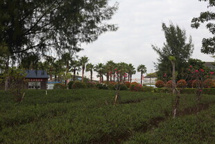 乡村绿意盎然的田园风光