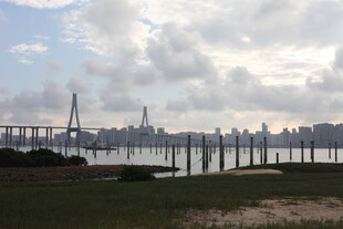 城市远景与桥梁景观