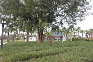 公园中的绿树与休憩区域