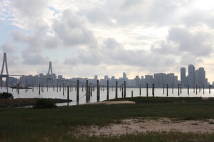 城市天际线与河畔风光