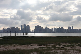 城市天际线与水域景观