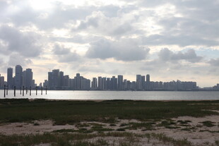 城市天际线与水边景致