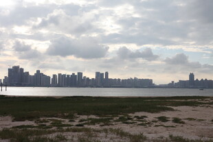 海滨城市天际线景观