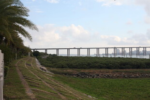 田野边的高架桥远景