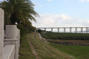 河畔护栏旁的桥梁远景