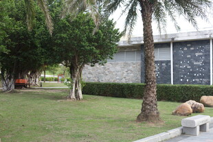 户外草坪旁的树木与石景