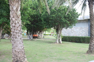 绿树成荫的户外休闲场地