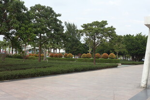 城市公园中的林荫步道