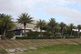 棕榈树环绕的建筑景观