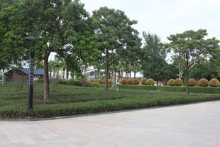 城市中的绿意景观