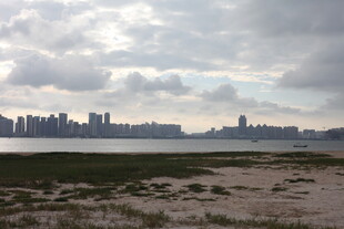 城市远景与开阔草地景观