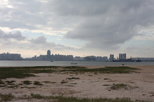 城郊荒野与远处城市天际线