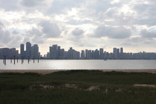 城市天际线与水域景观