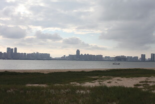 城市边缘的开阔风景