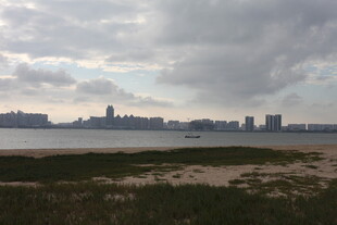 海滨城市天际线景观