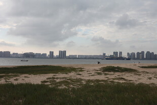 城市边缘的开阔河岸风光