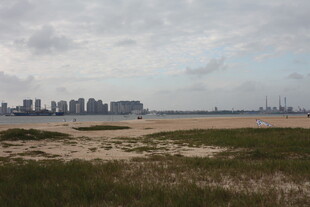 海滨城市远景与开阔草地