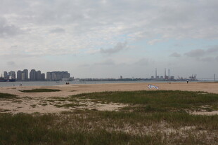海滨城市远景与开阔沙地