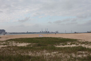 海边草地与远处工业景象