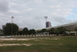 户外开阔草地与远处建筑